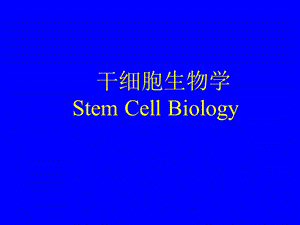 干细胞生物学.ppt