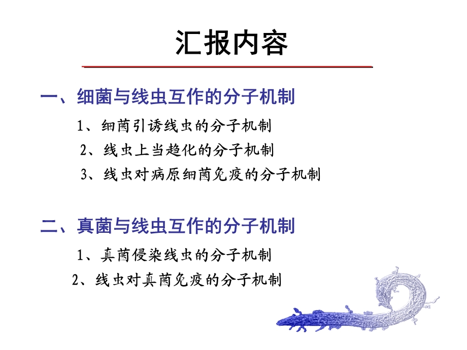 微生物与线虫互作的分子机制微生物会.ppt_第2页