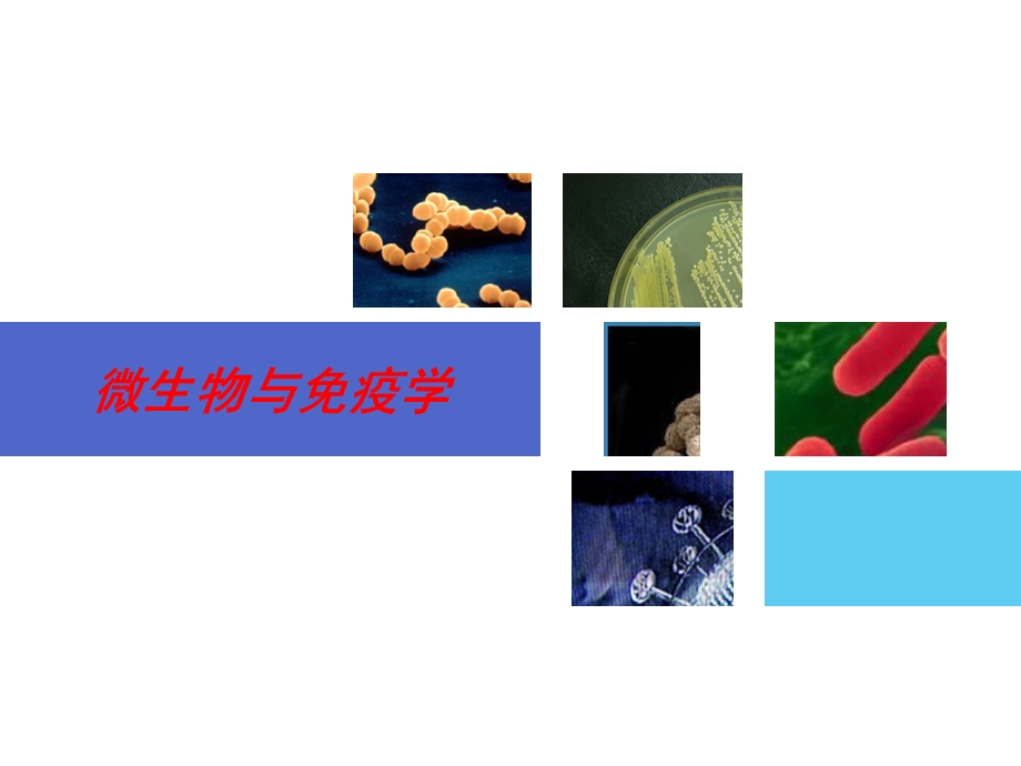 微生物与免疫学绪论.ppt_第1页