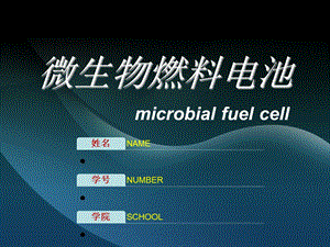 微生物燃料电池.ppt