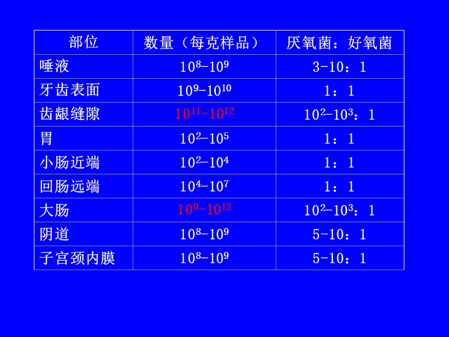 微生物生态学44微生物与人体的相互作用(精).ppt_第3页