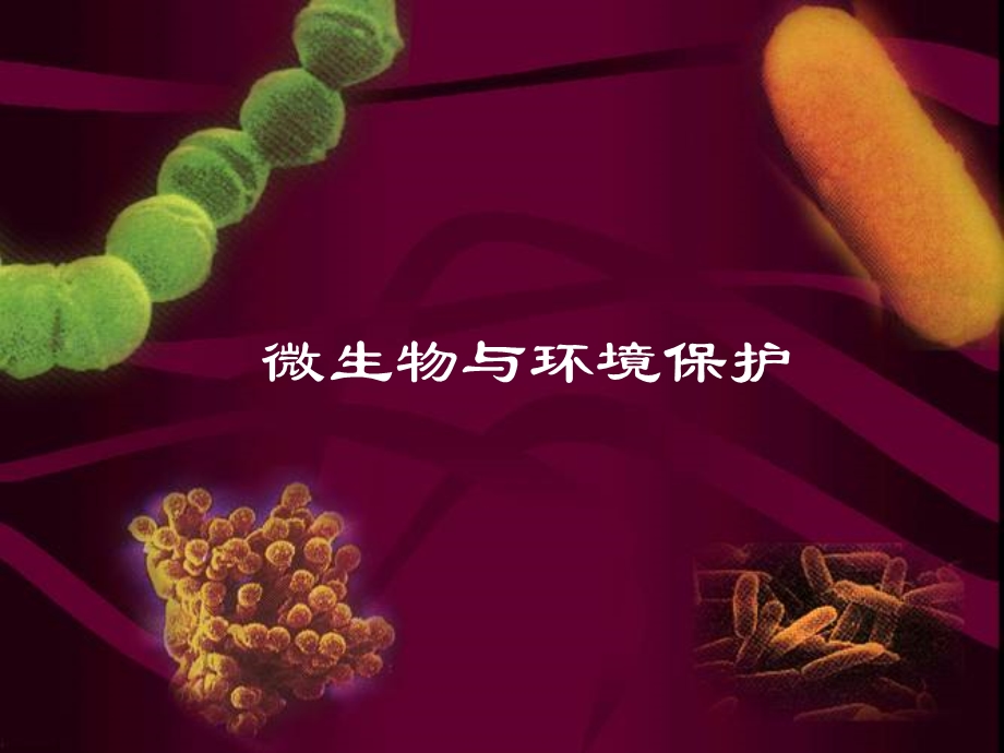 微生物与环境保护.ppt_第1页