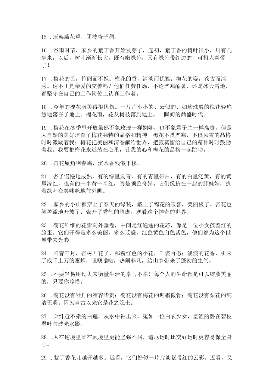 赞美杏树开花的句子精选235句.docx_第2页