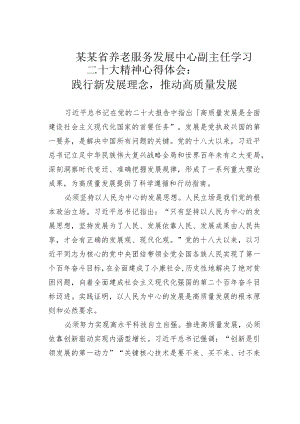 某某省养老服务发展中心副主任学习二十大精神心得体会：践行新发展理念推动高质量发展.docx