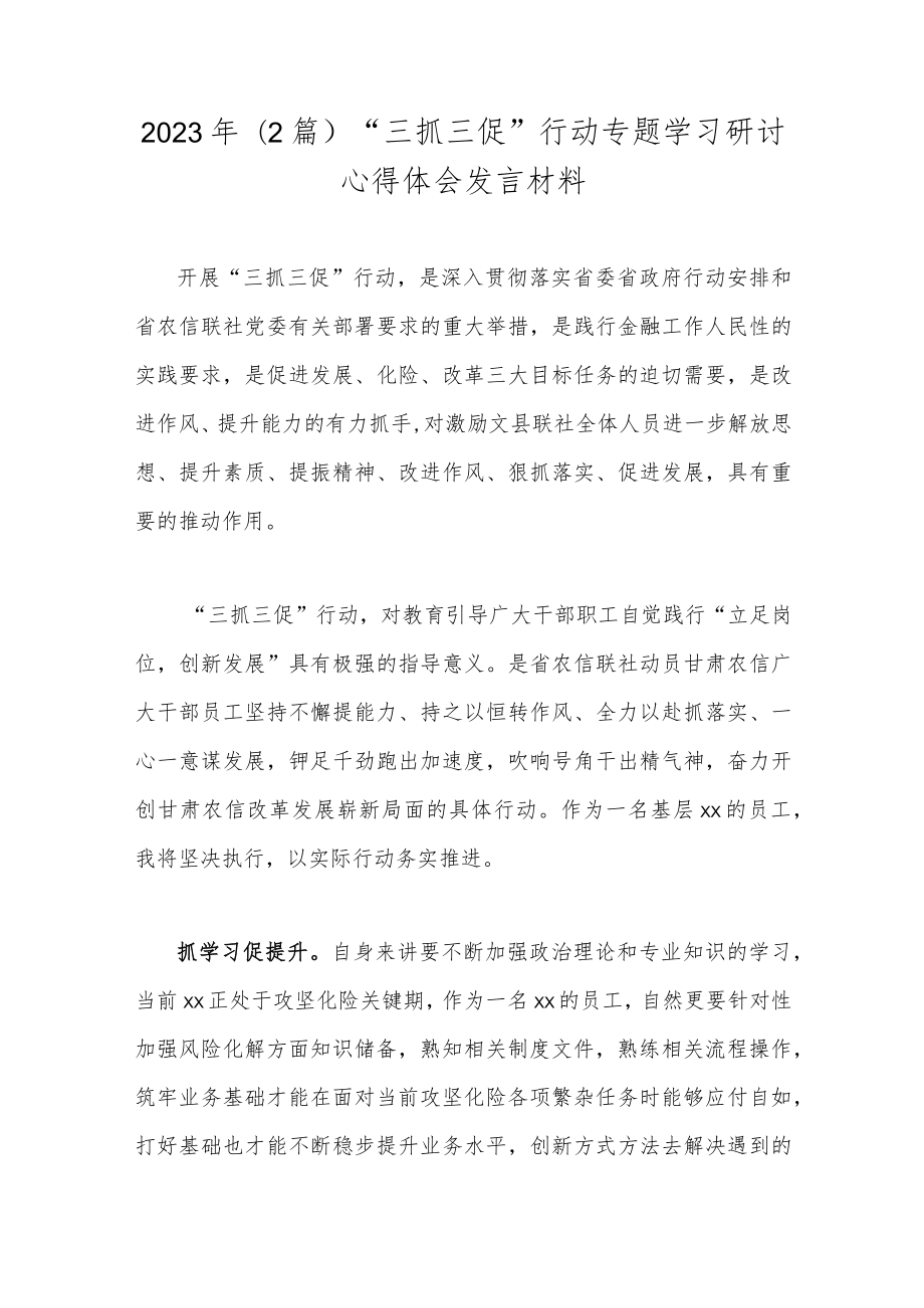 2023年（2篇）“三抓三促”行动专题学习研讨心得体会发言材料.docx_第1页