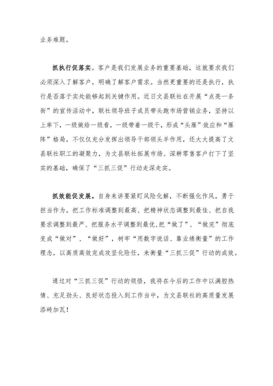 2023年（2篇）“三抓三促”行动专题学习研讨心得体会发言材料.docx_第2页