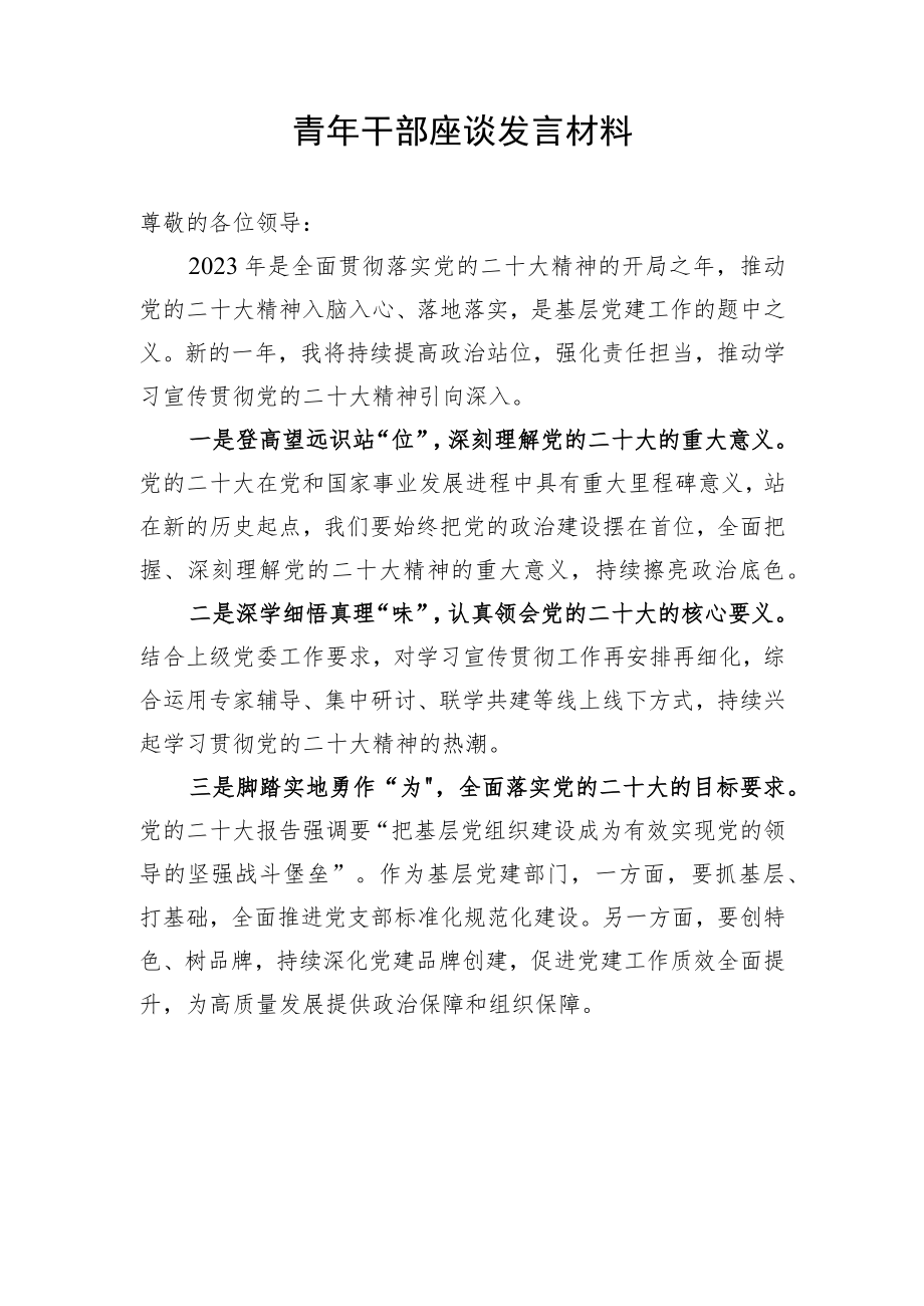 青年干部座谈发言材料.docx_第1页