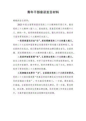 青年干部座谈发言材料.docx