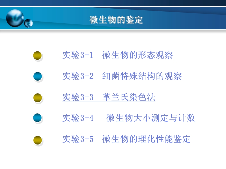 微生物的鉴定(精).ppt_第2页