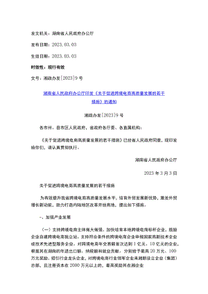 湖南省人民政府办公厅印发《关于促进跨境电商高质量发展的若干措施》的通知.docx