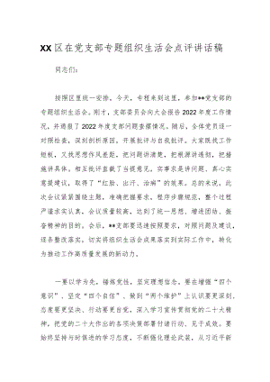 XX区在党支部专题组织生活会点评讲话稿.docx