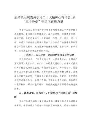 某某镇组织委员学习二十大精神心得体会：从“三个务必”中汲取奋进力量.docx