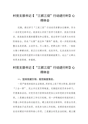 村党支部书记【“三抓三促”行动进行时】心得体会三篇模板.docx