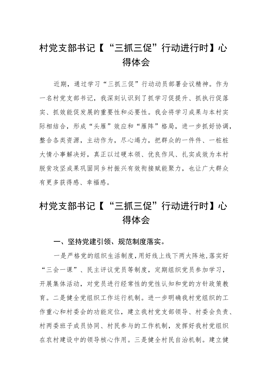 村党支部书记【“三抓三促”行动进行时】心得体会三篇模板.docx_第1页