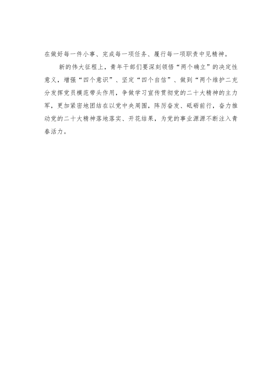 青年干部学习二十大精神交流发言：让青春在新征程上书写光荣与梦想.docx_第3页