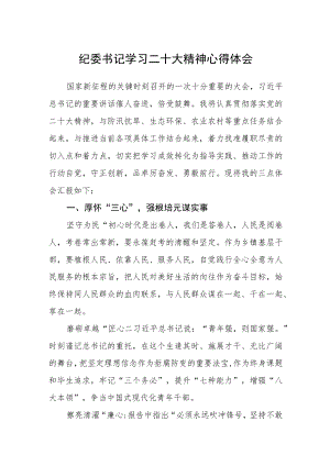 纪委书记学习二十大精神心得体会三篇通用范文.docx