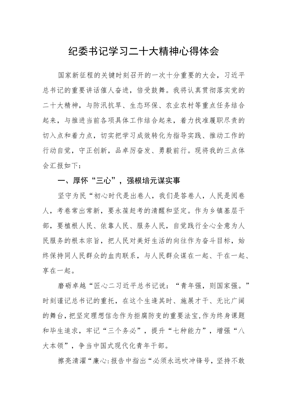 纪委书记学习二十大精神心得体会三篇通用范文.docx_第1页