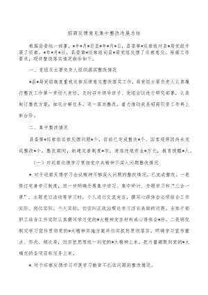 招商反馈意见集中整改进展总结.docx