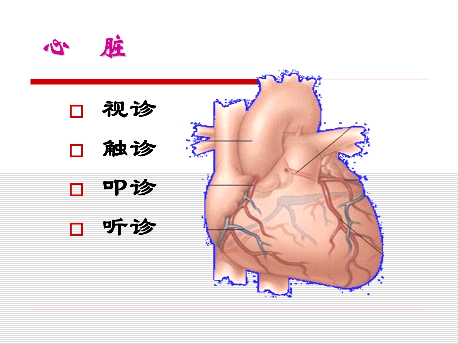 心脏体检医学课件ppt.ppt_第2页