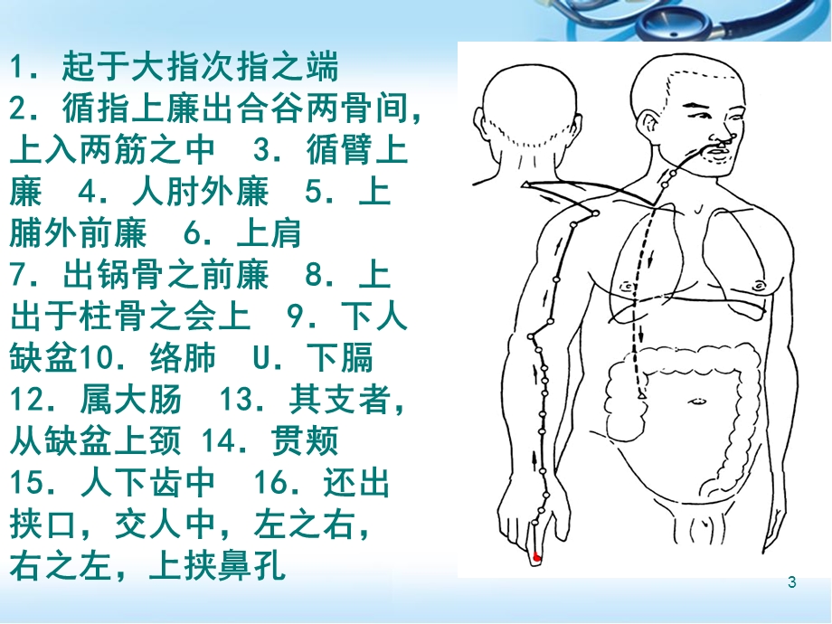 手阳明大肠经ppt医学课件.ppt_第3页