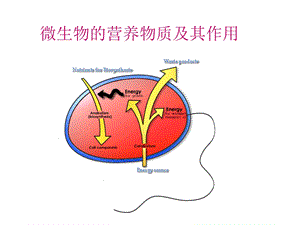 微生物的营养需求.ppt