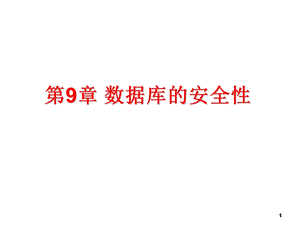 数据库的安全性..ppt