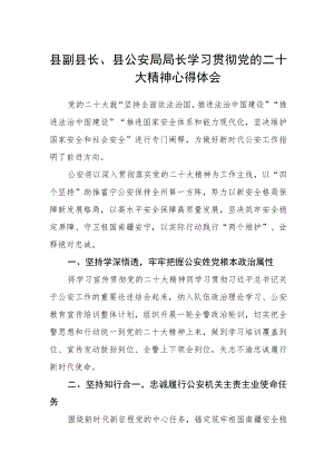 县副县长、县公安局局长学习贯彻党的二十大精神心得体会三篇合集.docx