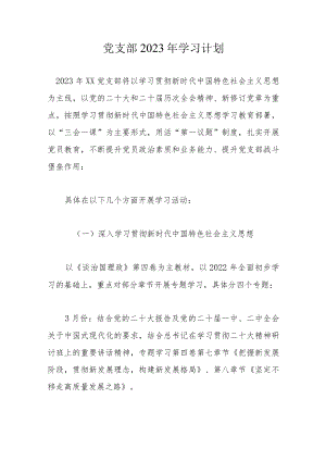 党支部2023年学习计划.docx