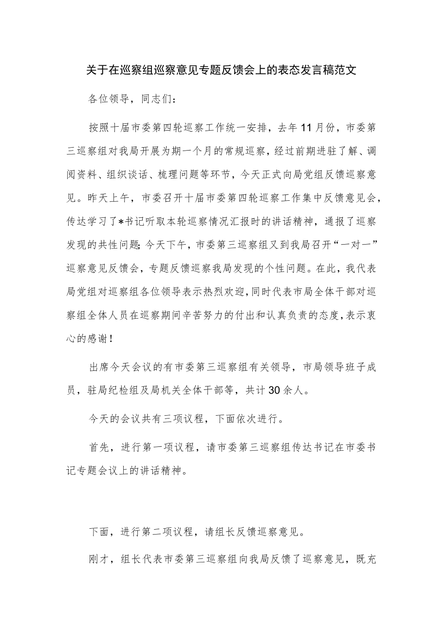 关于在巡察组巡察意见专题反馈会上的表态发言稿范文.docx_第1页