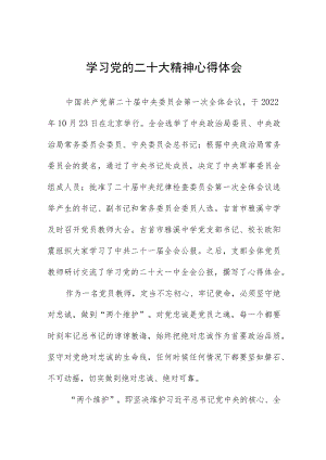 党员教师深入学习党的二十大精神心得体会九篇.docx