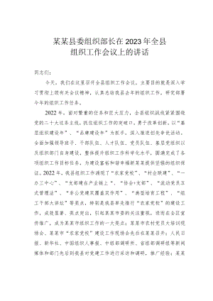 某某县委组织部长在2023年全县组织工作会议上的讲话.docx