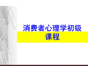 消费者心理学.ppt