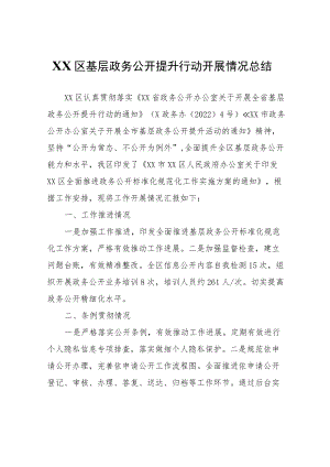 XX区基层政务公开提升行动开展情况总结.docx