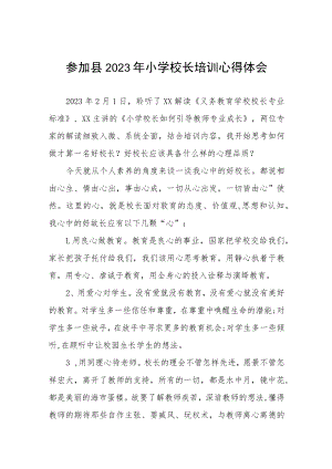 县2023年小学校长培训心得体会发言稿九篇.docx