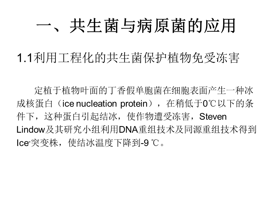 植物与微生物的相互作用.ppt_第2页