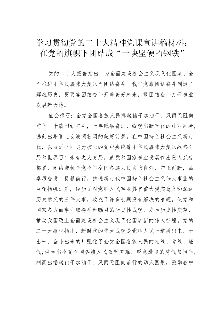 学习贯彻党的二十大精神党课宣讲稿材料：在党的旗帜下团结成“一块坚硬的钢铁”.docx_第1页