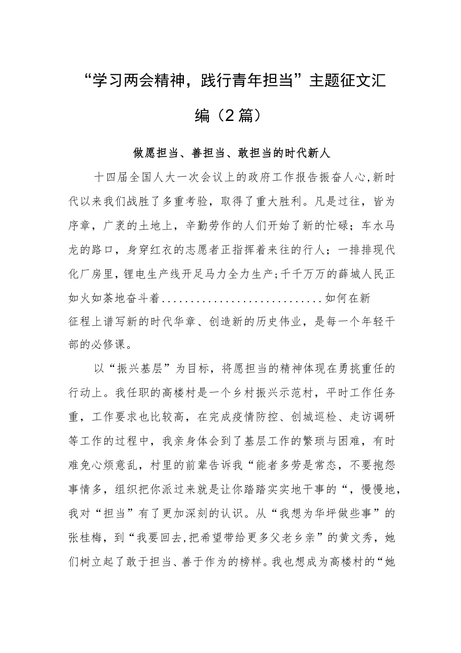 “学习两会精神践行青年担当”主题征文汇编（2篇）.docx_第1页