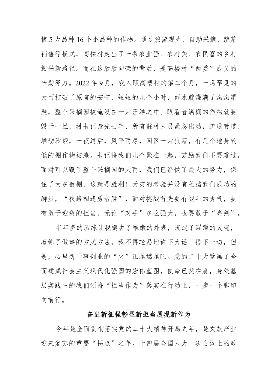 “学习两会精神践行青年担当”主题征文汇编（2篇）.docx_第3页