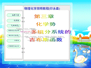 物理化学简明教程(印永嘉)化学势.ppt