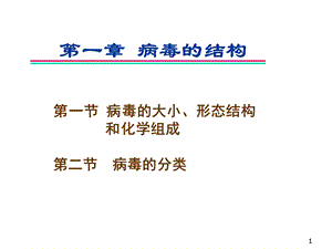 病毒的结构医学PPT课件.ppt