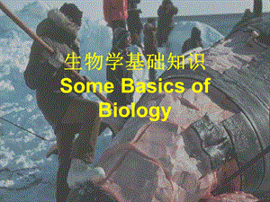 生物学基础知识.ppt