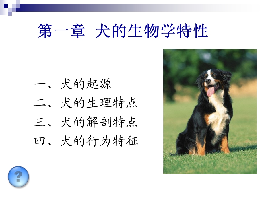 犬的生物学特性.ppt_第2页