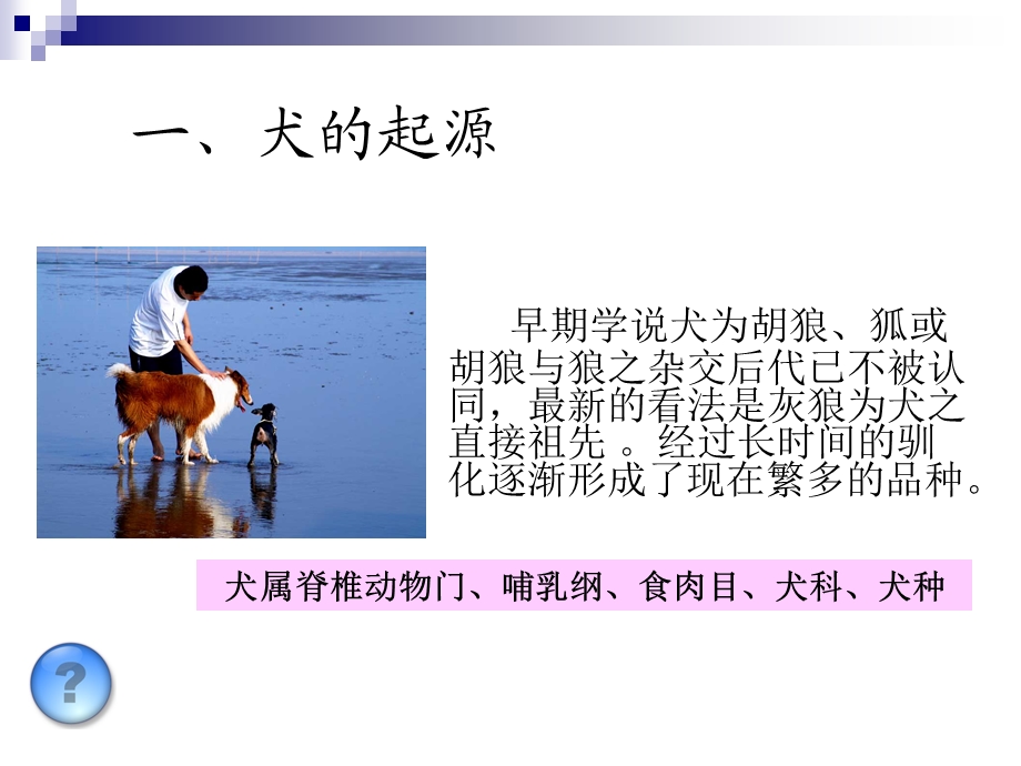 犬的生物学特性.ppt_第3页