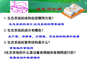 生态系统的能量流动(很好用).ppt