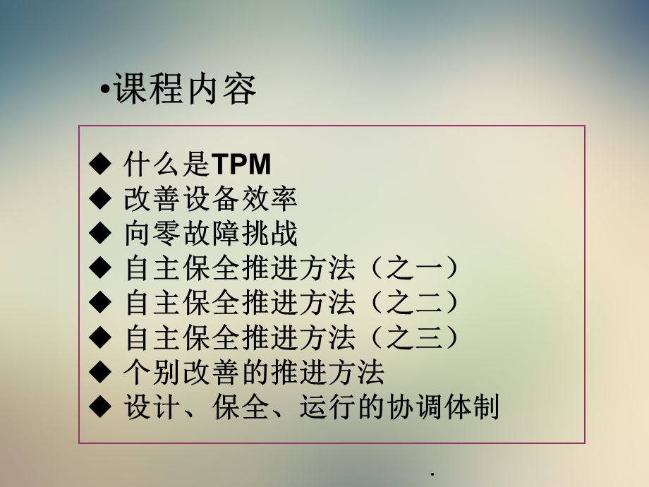 现场TPM培训教程.ppt_第2页