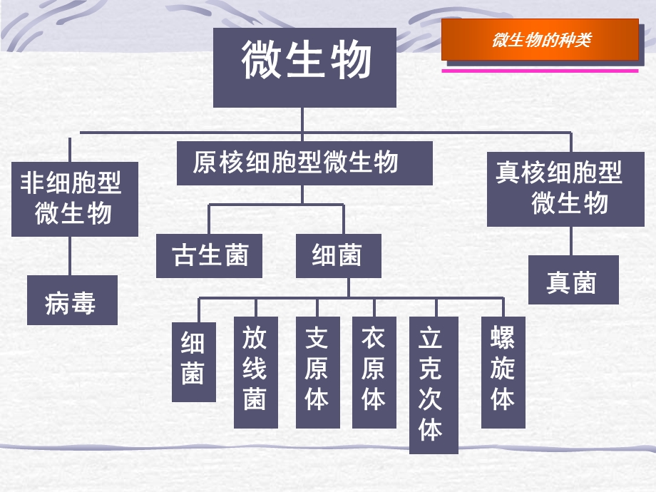 病原生物学复习.ppt_第3页