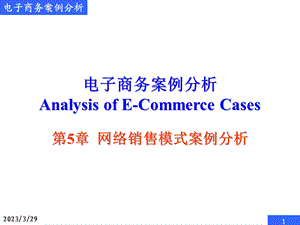 电子商务案例分析网络销售模式案例分析.ppt