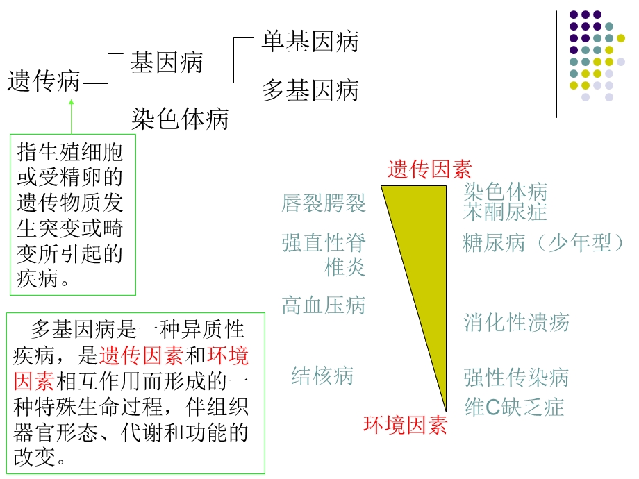 疾病的分子生物学.ppt_第2页