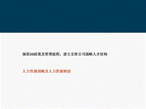 某软件公司人力资源战略及人力资源规划.ppt