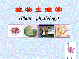 植物生理学绪论.ppt